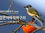 검은이마직박구리