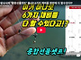 호사마 수평꺽대