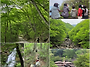 26, 4.30 지리산 봄나물