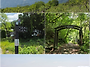 26, 5.22 소백산 철쭉산행