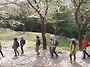 황산누비길 2차 4월 8일 ..