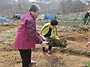 경작작업치료프로그램