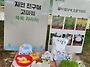 🌳모내기 체험🌳
