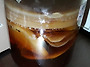 폭풍성장하는 홍차버섯