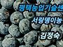 유튜브로 첫 연습영상 만들..