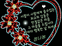 인생 면허증