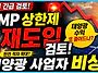 태양광 SMP 상한제 재도입..