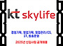 KT skylife 채용 / 20..