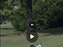 LPGA KOREA 인스타그램 새..