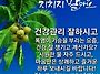 적응