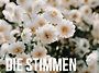 Die Stimmen 2026.0..