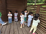 6월 텃밭 물 주기, 산책활..