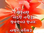 오늘의운세 - 5월10일