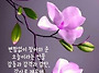 오늘의운세 - 5월6일