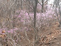 3/28 예봉산~운길산 청소..