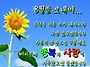 🌸8월..