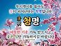 &#127800;청명..