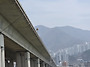 대저 낙동강변