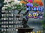 ☔비 내..
