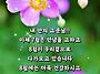 🌺7월..