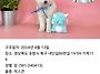 옹이(구. 시아)가 우리집에..