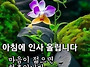 백양산영상&#128266;