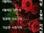 즐거운 주말 보내세요 ^~..