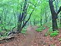 천성산2