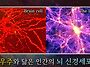 인간의 몸은 작은..