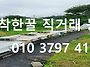 보약으로 드시는 피나무숙..