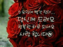 💓2026년 8월 ..
