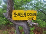 작은 配慮[배려]..
