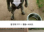 댕댕이들의... 식사시간