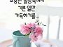 책속의 한줄