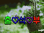 5월29일목욜출석부