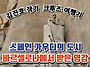 [김진호 작가의 크루즈 여..