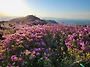 제81회 합천 황매산 산행