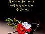 안정희시인ㅡ윤동..