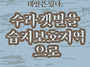 🦆[수라갯벌 ..