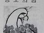  성모의 밤 행사