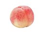 🍑초미니복순버..