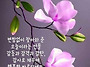25년5월18일 일욜 출석부