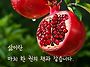 26년7월7일 화욜 출석부