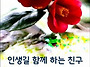 넋두리 한마디