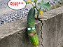 RE:(편집) 이쒸~
