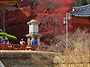 2019-03-19 / 지리산 (..