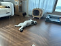 행복) 쨉을 날려?