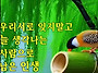 2025년5월4일(일요일)출석..