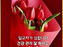 2025년5월26일(월요일)출..