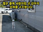사람처럼 서게 된 강아지,..